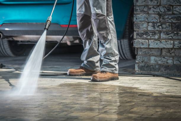 Best Gutter Cleaning  in Pine Lakes, FL