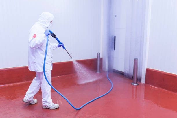 Best Rust Removal  in Pine Lakes, FL